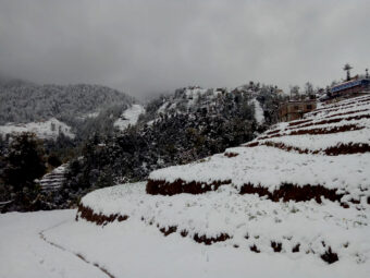 Ground and forest covered with snow near Mount Mahabharat Homestay and Retreat-bethanchowk.com
