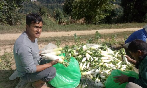 Mt. Mahabharat Homestay with Organic Farm